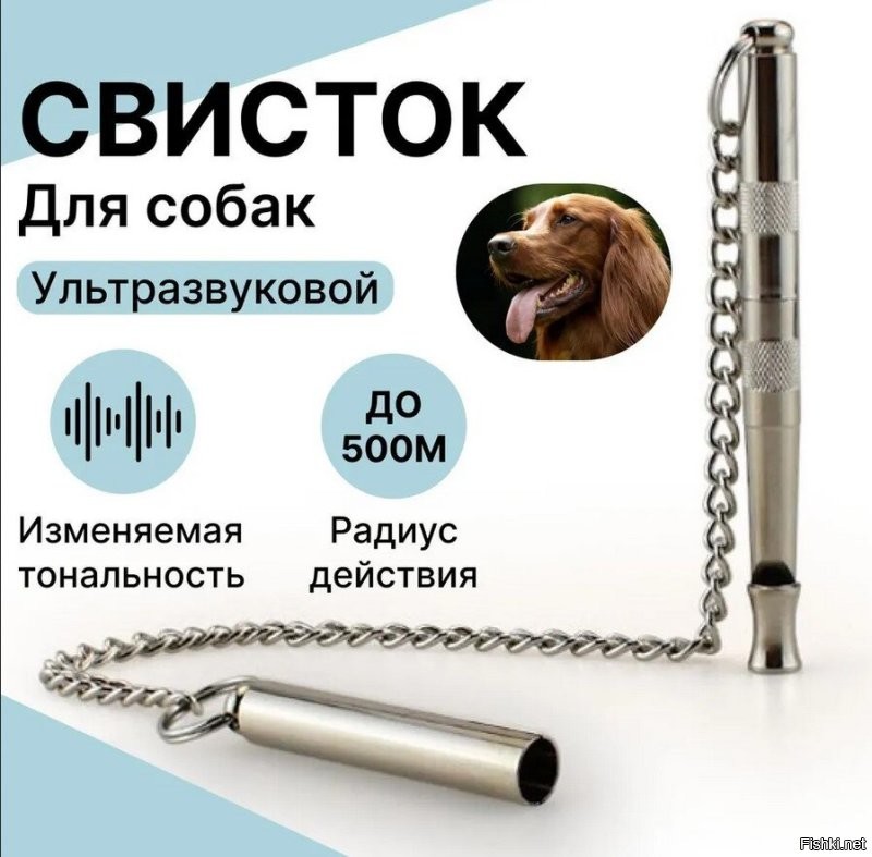 похоже кто то пошутил с ультразвуковым свистком для собак. Для человеческого уха он не слышим практически, но лошадка могла испугаться, это как свистнуть в ухо человеку.