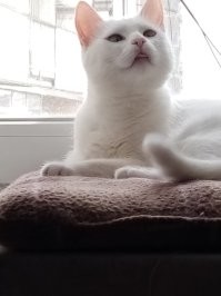 Да что вы понимаете в презрении)