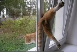 ну, "повезло", а ведь могло и иначе всё закончиться)