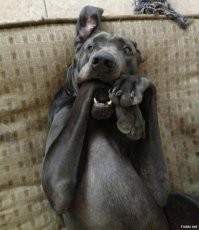 40 снимков для любителей пощекотать нервы