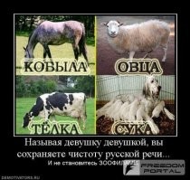 "Только и думает, чтобы поесть!" Топ главных претензий российских мужчин к спутницам жизни изменился