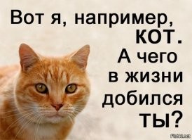 Для спасения кота в Москве распилили памятник самолёту