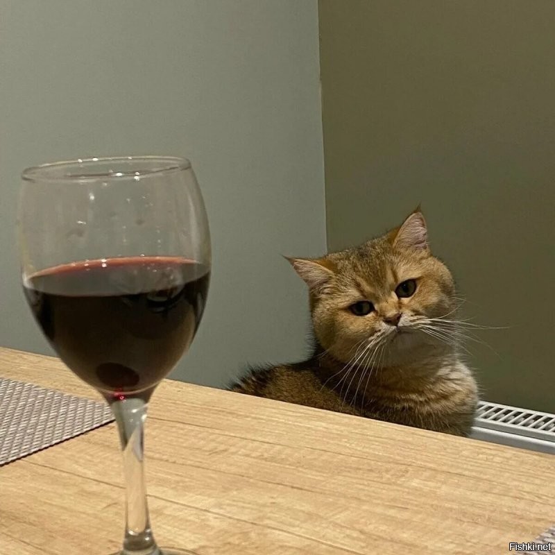 Солянка от 30.08.2023