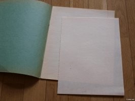 Что, совсем дикий? Никогда промокашку не видел?