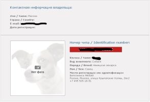 вот так выглядит карточка питомца