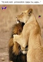 Сначала довела, теперь успокаивает. Гадина!