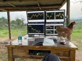 Девушка за денюжкой пришла?