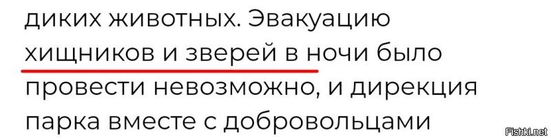 Ну да. Он медь к продаже готовил, а не "электрокабель". 

С другой стороны, у автора статьи, хищники это не звери.