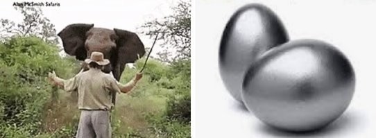 Просто гифки, всякие и&nbsp;разные