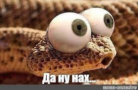 Ёжик куснул за попку другого ёжика, который не делился едой