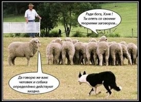 Вечерний улыбатор