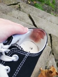 Мамкин модник решил что носить обувь без носков это круто?