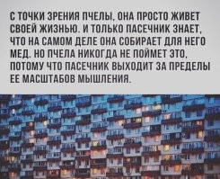 Есть и посерьезней проблемы, в контексте труда пчел...
