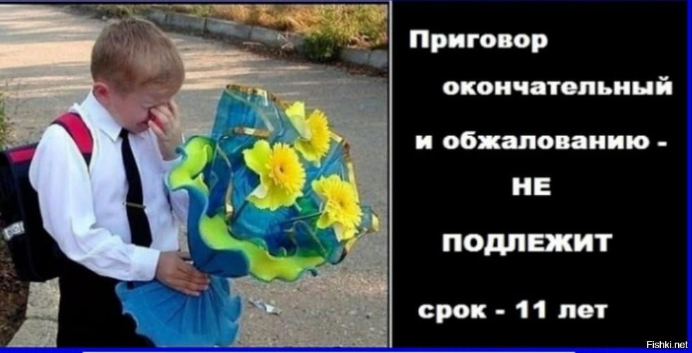 Солянка от 31.08.2023