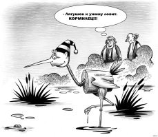 Цапля решила похитить улов рыбака