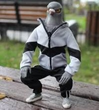 Скрины из соцсетей&nbsp;