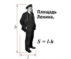 Скрины из соцсетей&nbsp;