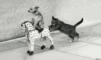 ну,вы поняли