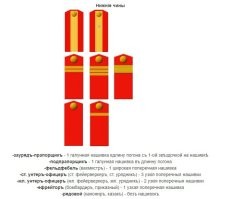 То, что Вы назвали тигровой ленточкой. Георгиевская лента была учреждена Екатериной II во время русско-турецкой войны 1768 1774 годов для поощрения верности, храбрости и благоразумия. 
Погоны соответствуют званию старший унтер-офицер. Вы наверное подумали, что это современные сержантские )) Все это в 1896 году уже было.
Вот молнию я там не разглядел, но если она присутствует, то это уже ляп.