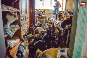 Первый звоночек!:)
К старости!:)