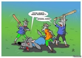 Пёс понял, что зашёл в опасный район