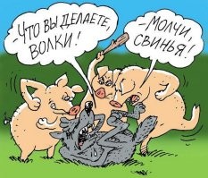 Пёс понял, что зашёл в опасный район