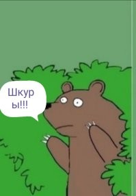 Медведя нехватает