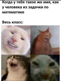 1 сентября: истории про линейки, мемы и мысли трудящихся