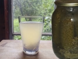 Что за рассол в котором они плавают ?