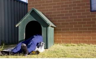 Всё вразнобой&nbsp;