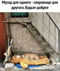 Смешные картинки с комментариями из социальных сетей