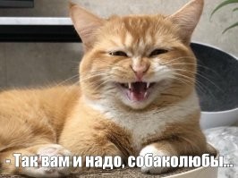 ФотоВсячина