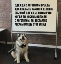 Это как с пакетом с логотипом магазина. Он должен на кассе быть бесплатным, ведь мало того, что я закупился в нем, так еще хожу и его рекламирую.