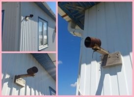 Повесить для дурочка муляж и пусть забавляется.
А, главное повыше.