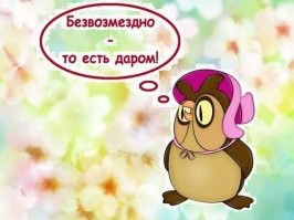 Приезжий рабочий стащил четыре шины из сервис-центра "Колёса даром"