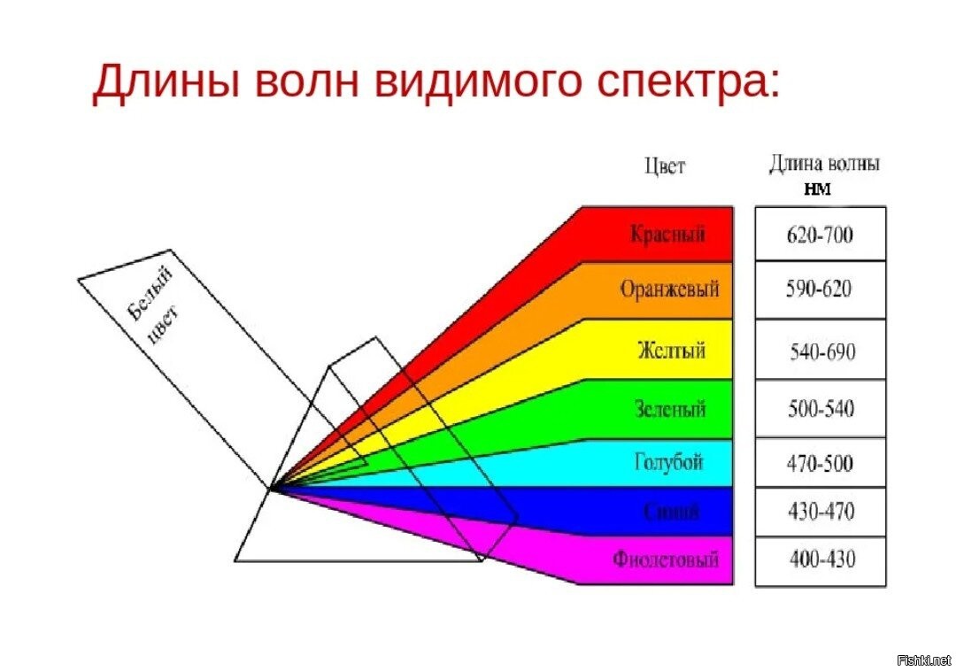 Частота световых волн разных цветов. Диапазон длин волн видимого света. Видимый спектр длина волны. Длина волны излучения в видимой части спектра. Диапазон частот видимого излучения.