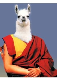 Смешные картинки с комментариями из социальных сетей