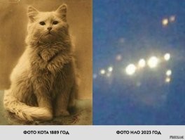 Пентагон запустил сайт с рассекреченными видео об НЛО и информацией