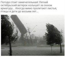 Субботний улыбатор