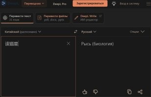 В чём правда, брат?