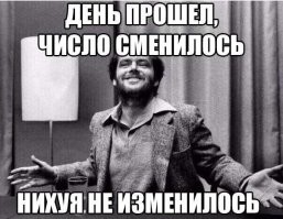 В питерском Купчине провели праздник «Костры рябин»