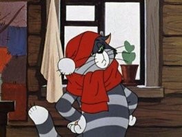 Хозяйка кота-клептомана извинилась за поведение питомца и предложила соседям забрать свои вещи