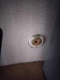 Сестра недавно переехала и в квартире на стене обнаружилась такая штука. Возможно подрозетник от радиоточки( дом панельный, 50лет). Только почему-то у пола, обычно сантиметров 80 делали. Да и странный какой-то !