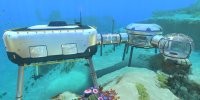 Subnautica в реальной жизни..