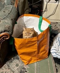 Эрику - привет