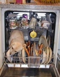 Помощники, которые всегда рядом