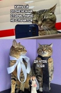 Комментарии и картинки из соцсетей. Свежак за 5 сентября