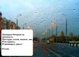 В Санкт-Петербурге мужчина выстрелил из ракетницы в продавца магазина