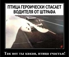 Момент пойман