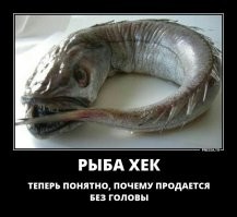 12 раз, когда природа создала чудовищные вещи